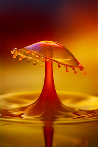 새로운 모험이 기다립니다